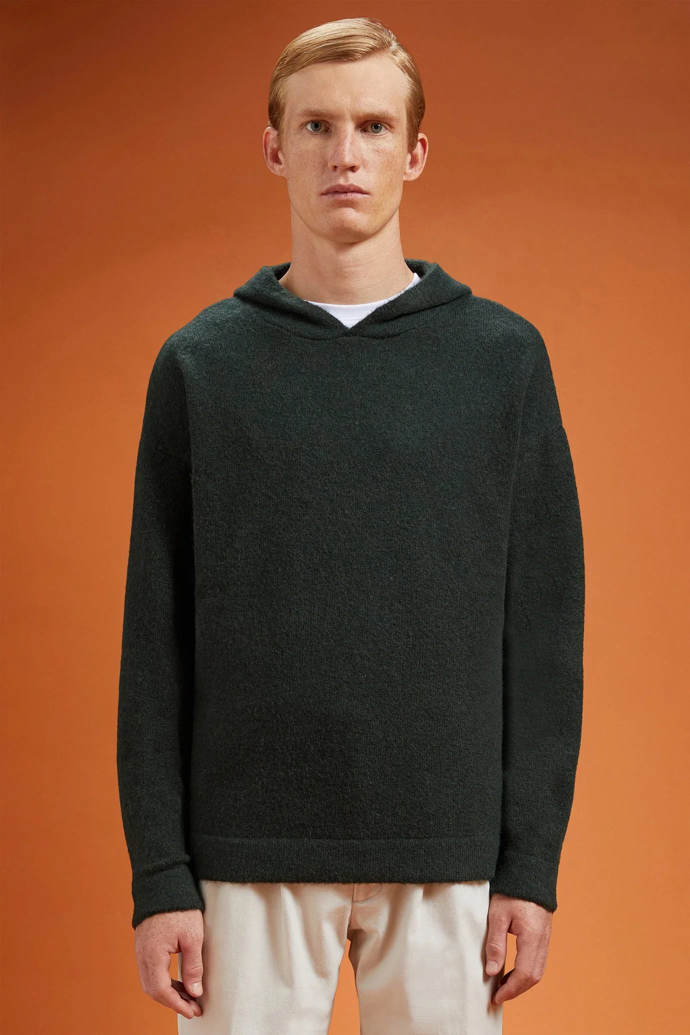 Men's regular fit hoodie in a wool blend