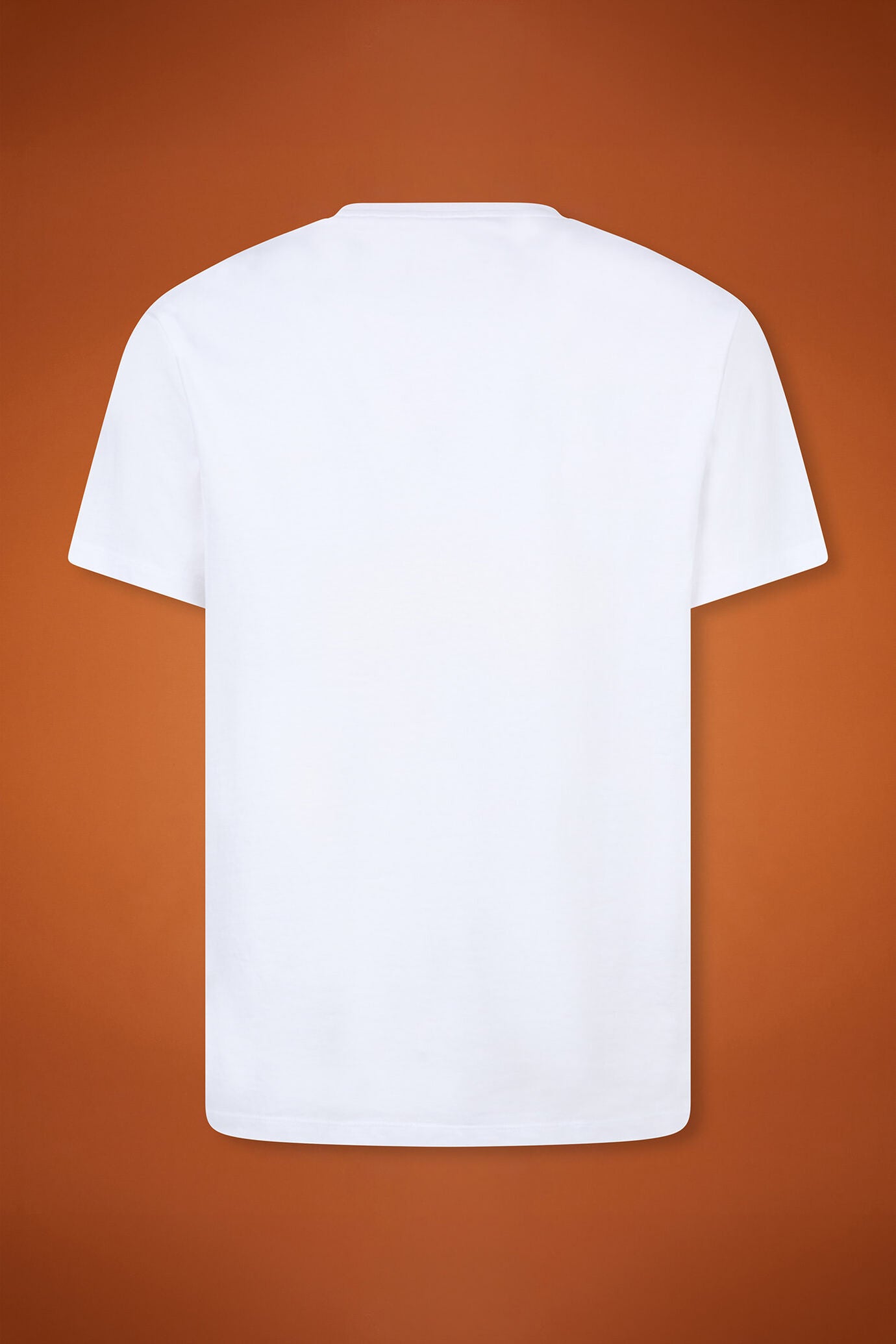 Men's 100% cotton crew neck T-shirt with short sleeves in a regular fit