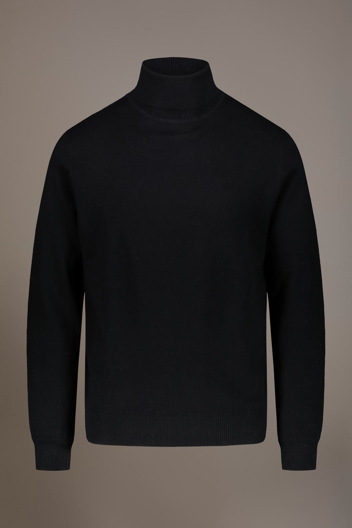 Wool blend turtleneck sweater