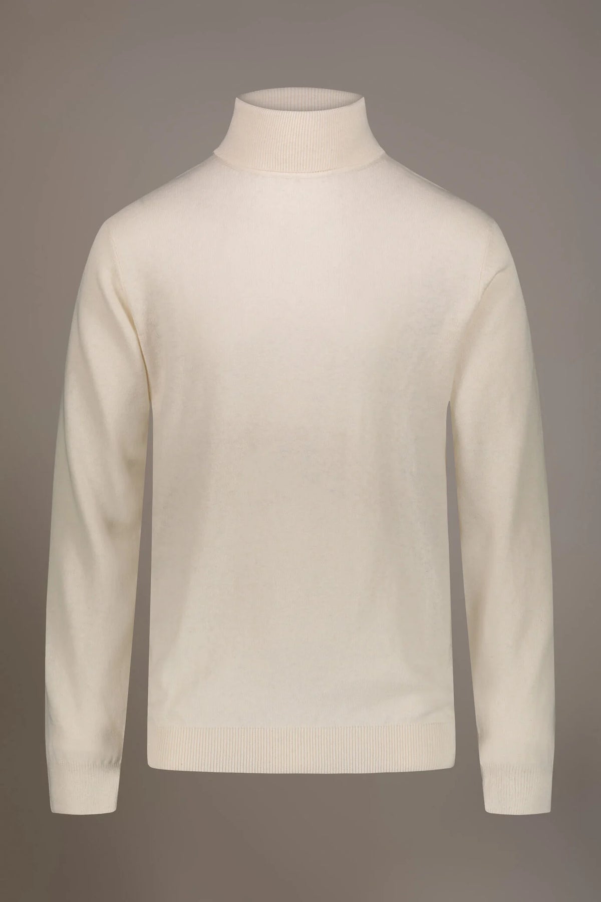 Wool blend turtleneck sweater