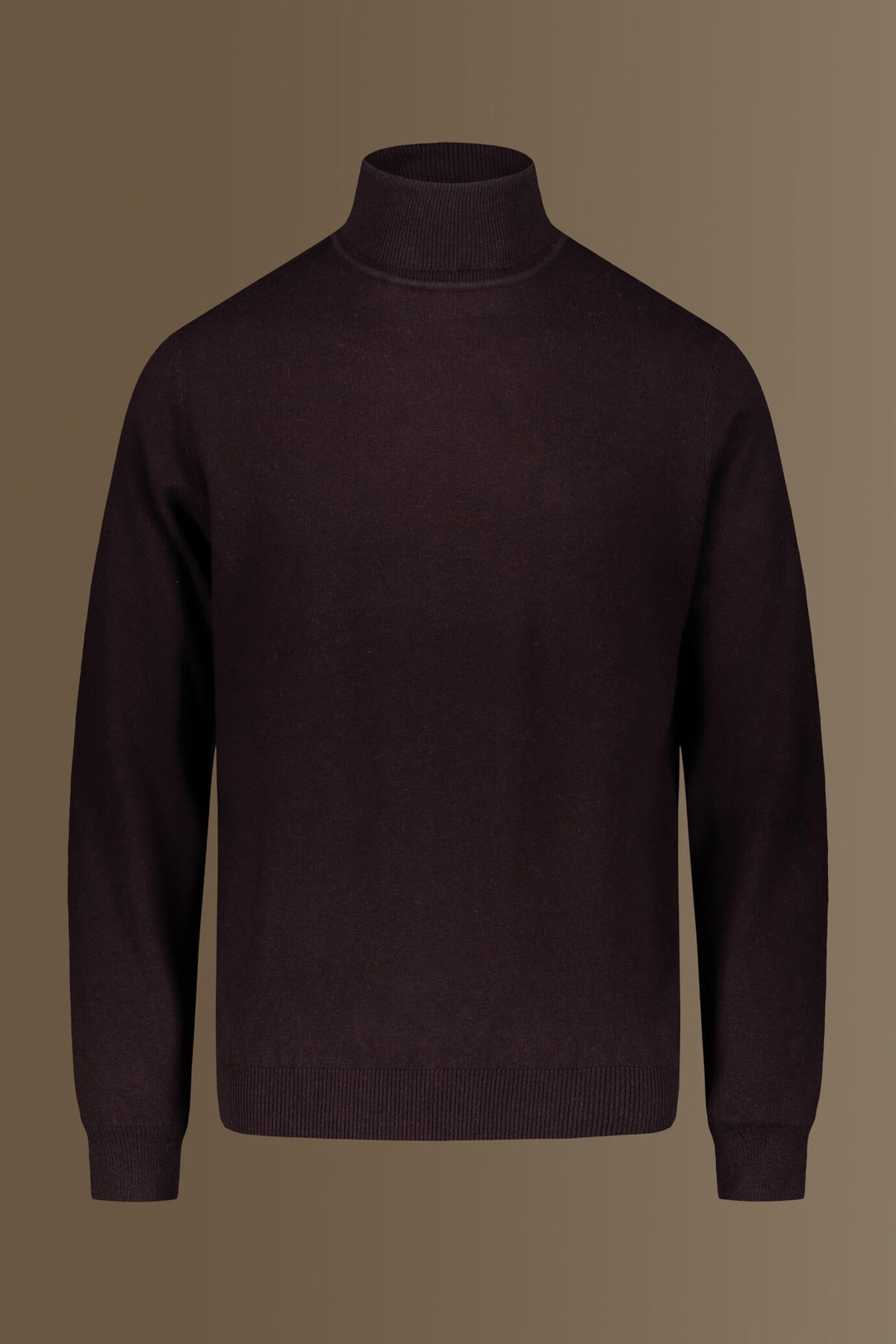 Wool blend turtleneck sweater