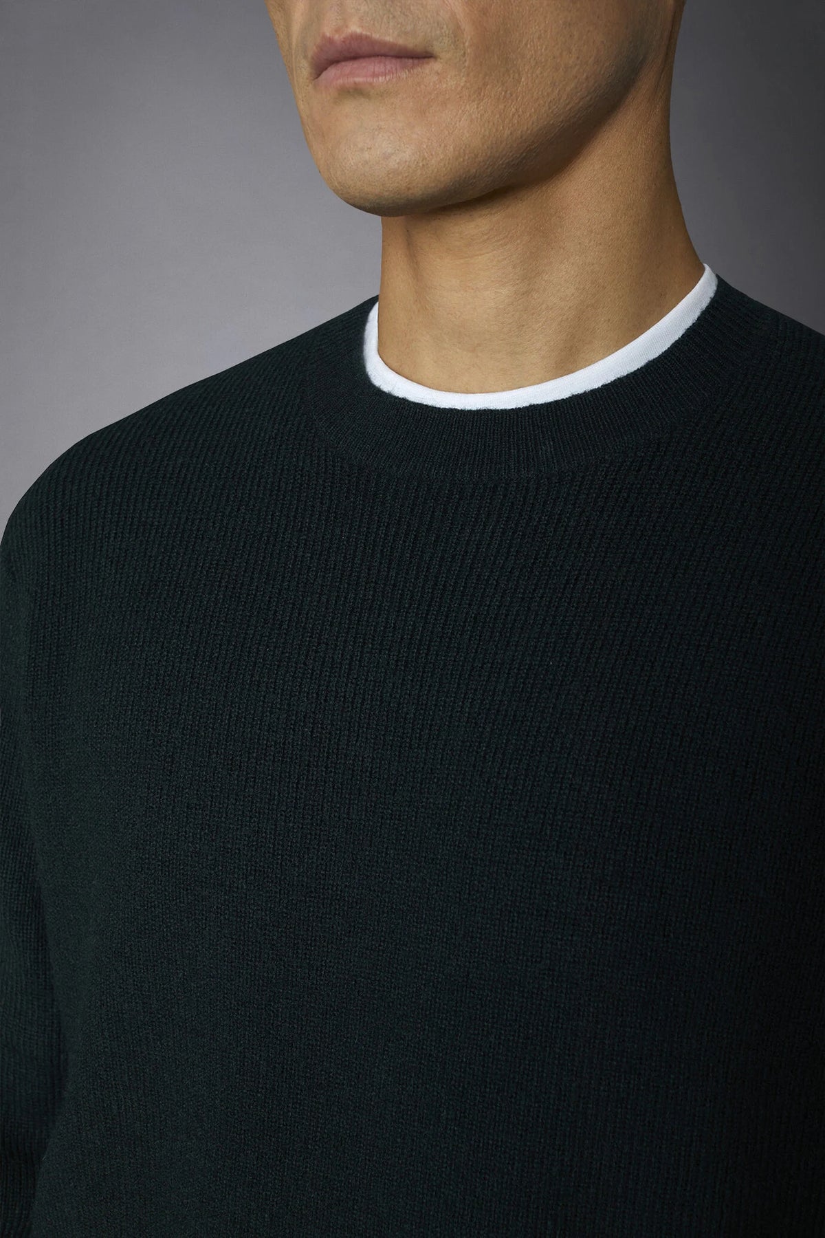 Men's roundneck sweater with English rib knitting regular fit