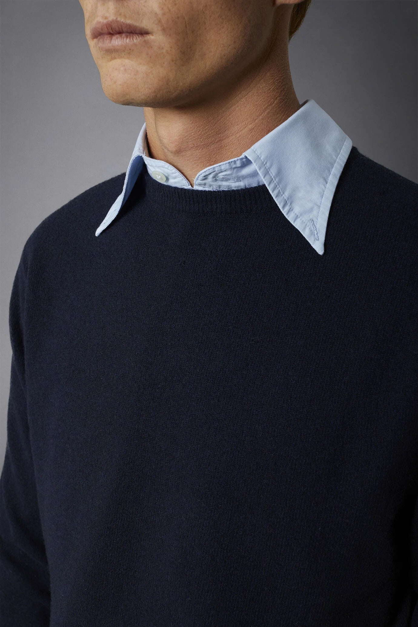 Men's crew neck wool blend lambswool regular fit sweater