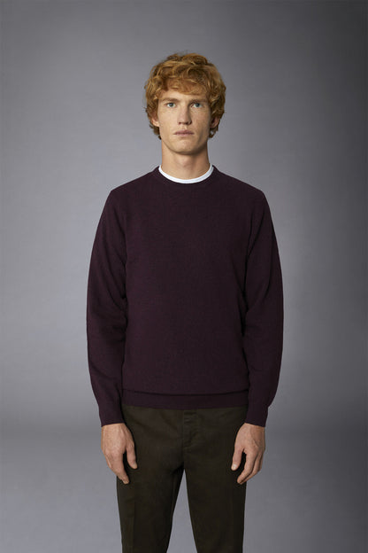 Men's crew neck wool blend lambswool regular fit sweater