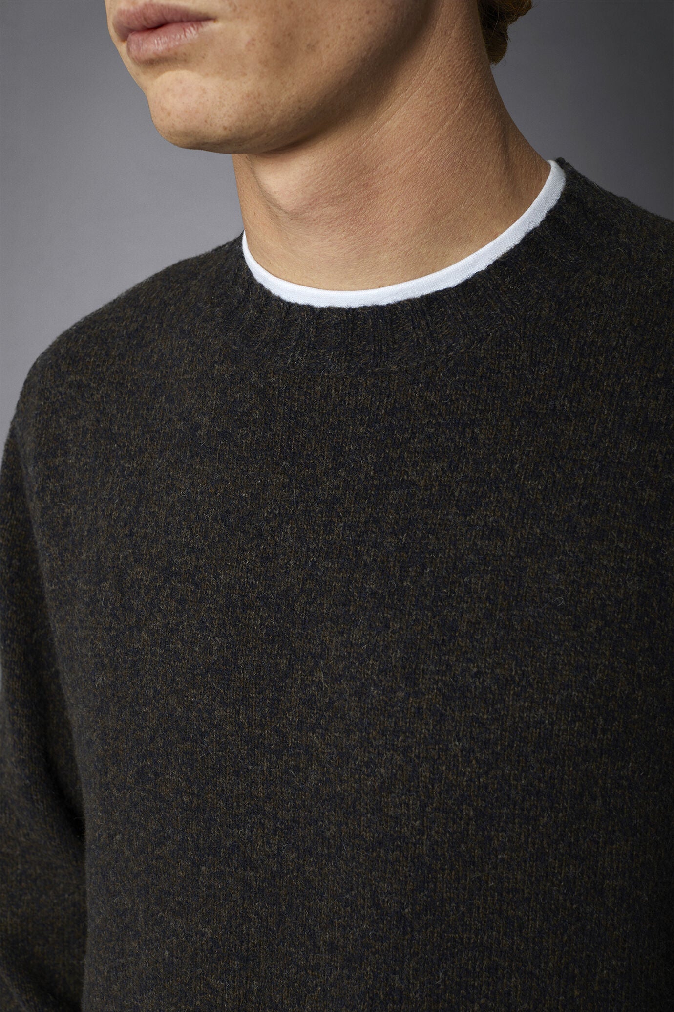 Men's crew neck wool blend lambswool regular fit sweater