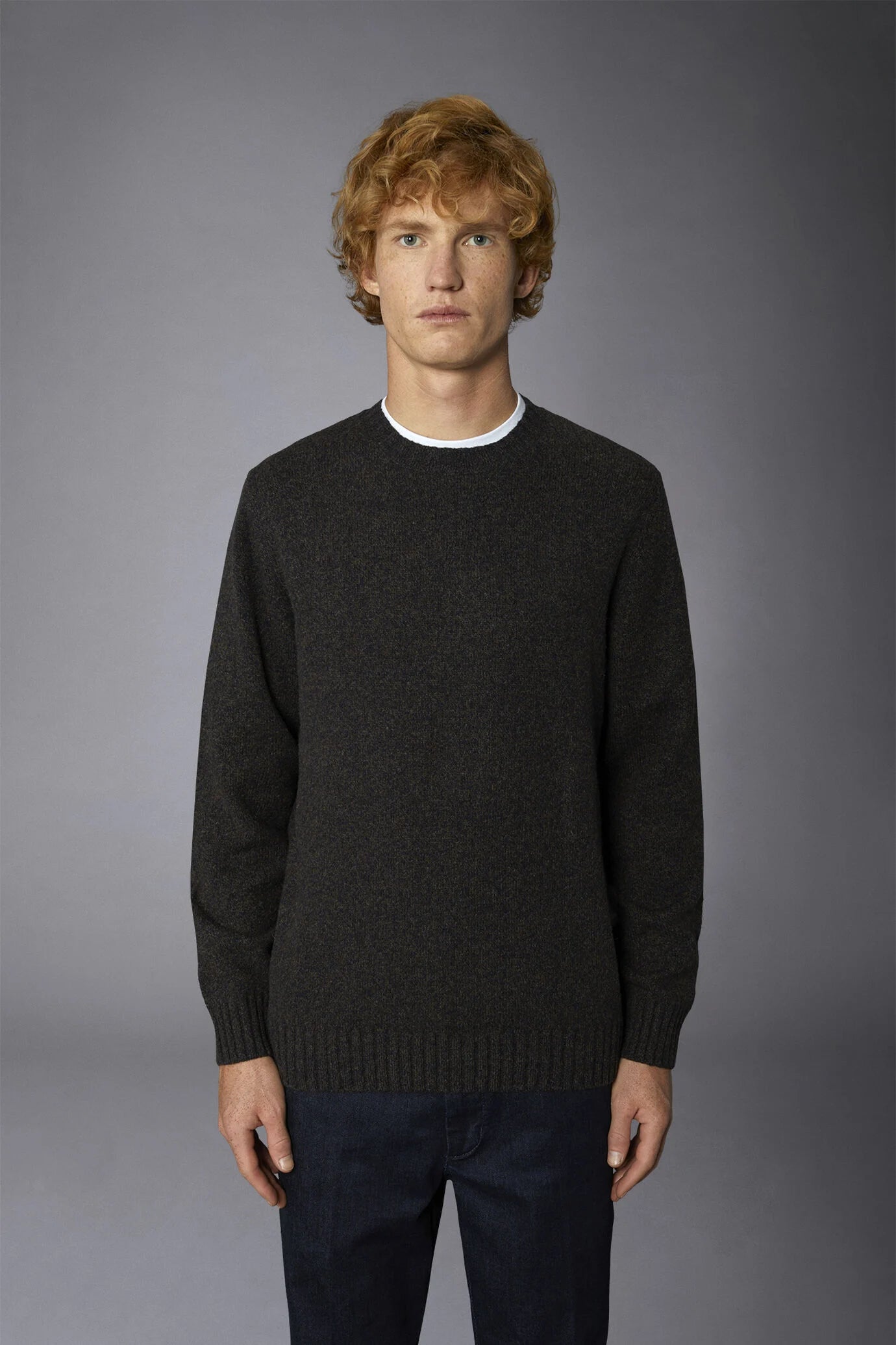 Men's crew neck wool blend lambswool regular fit sweater