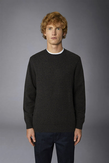 Men's crew neck wool blend lambswool regular fit sweater