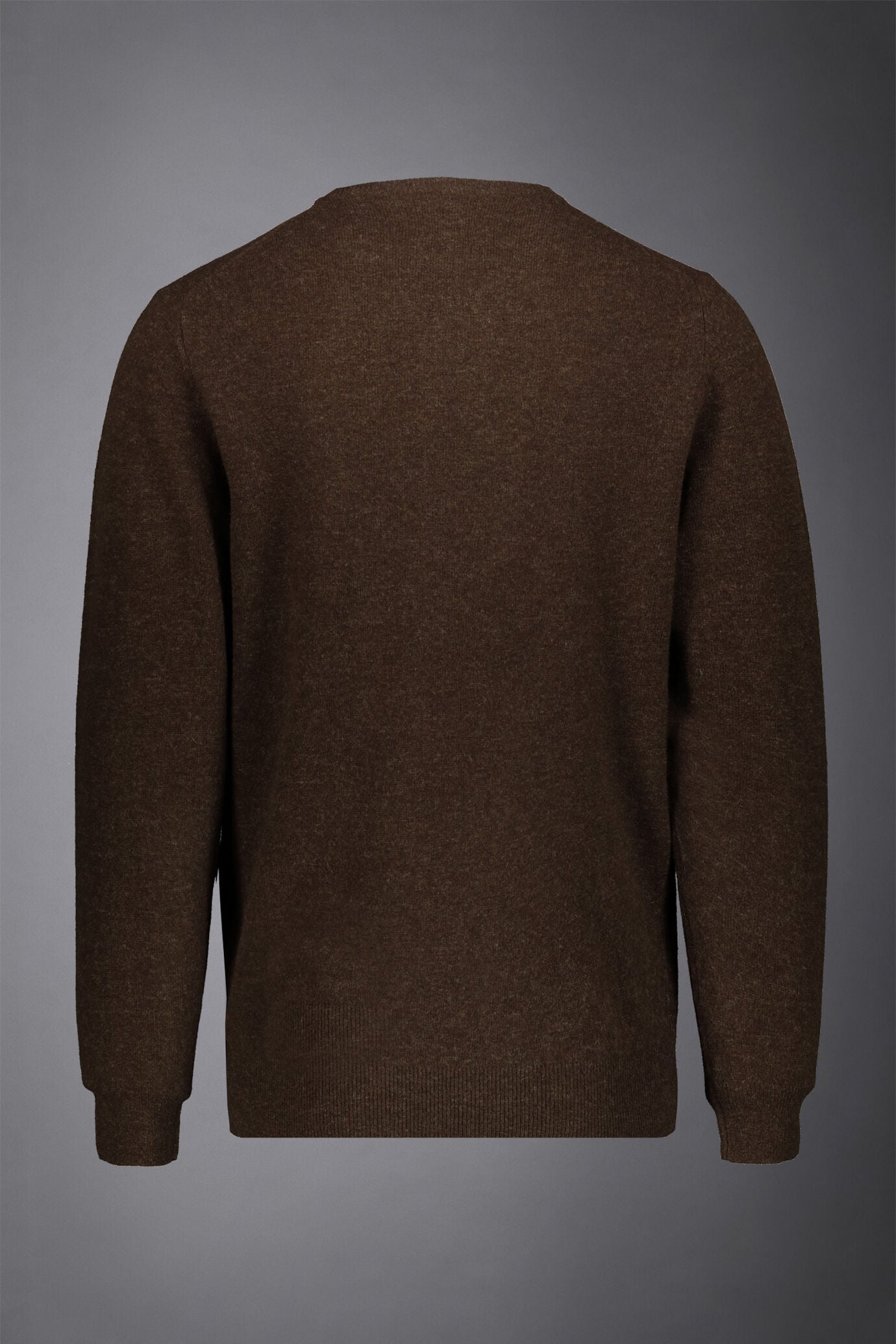Men's crew neck wool blend lambswool regular fit sweater