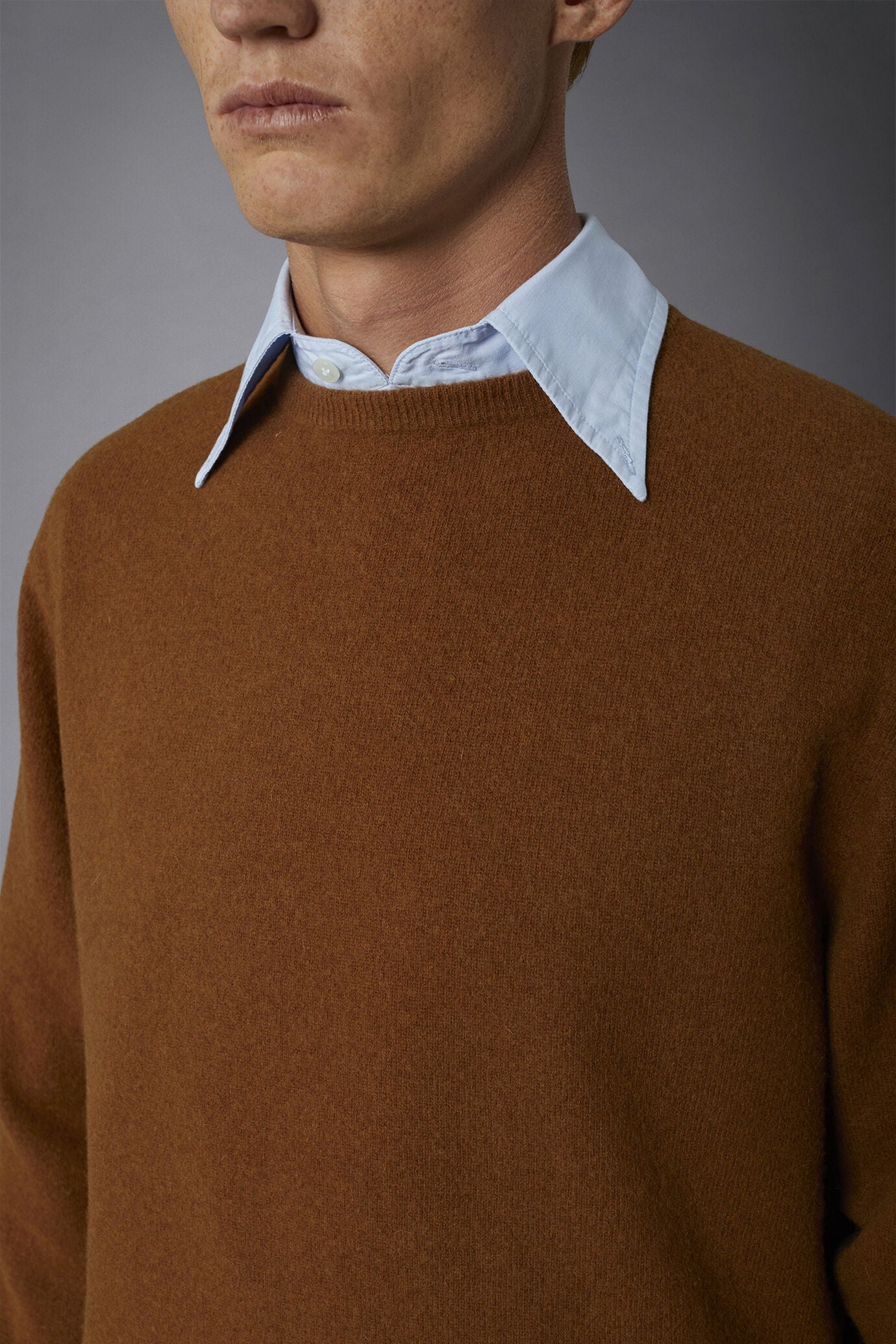 Men's crew neck wool blend lambswool regular fit sweater