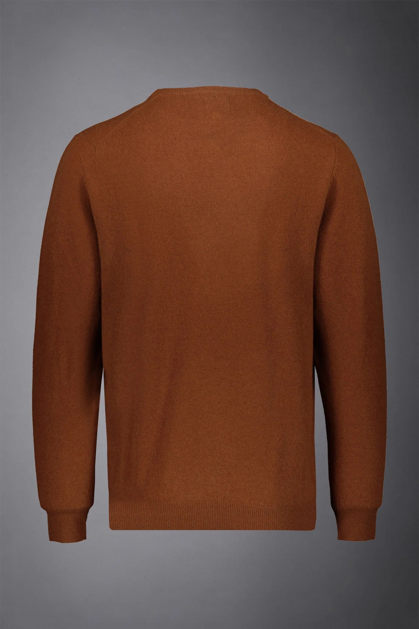 Men's crew neck wool blend lambswool regular fit sweater
