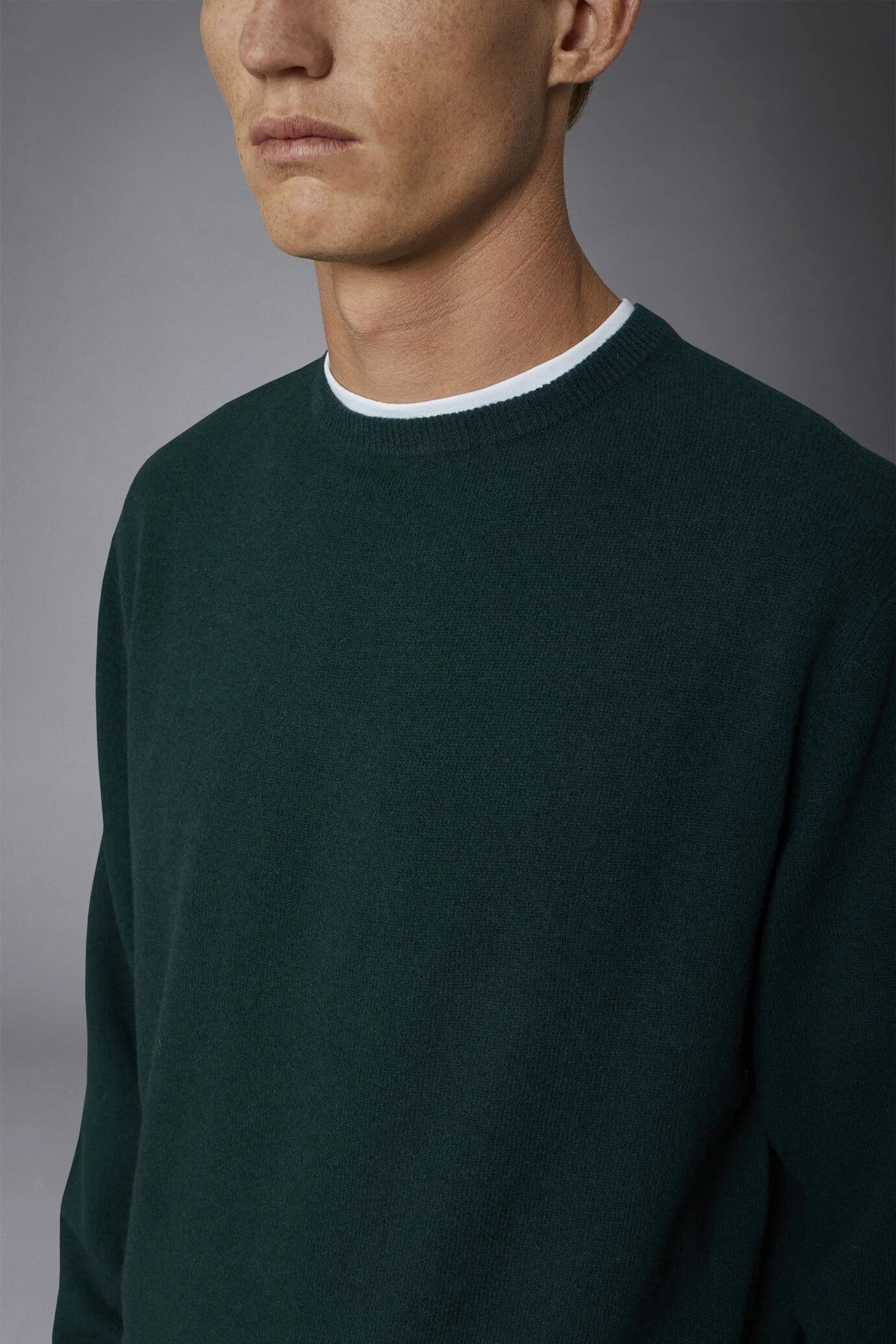 Men's crew neck wool blend lambswool regular fit sweater