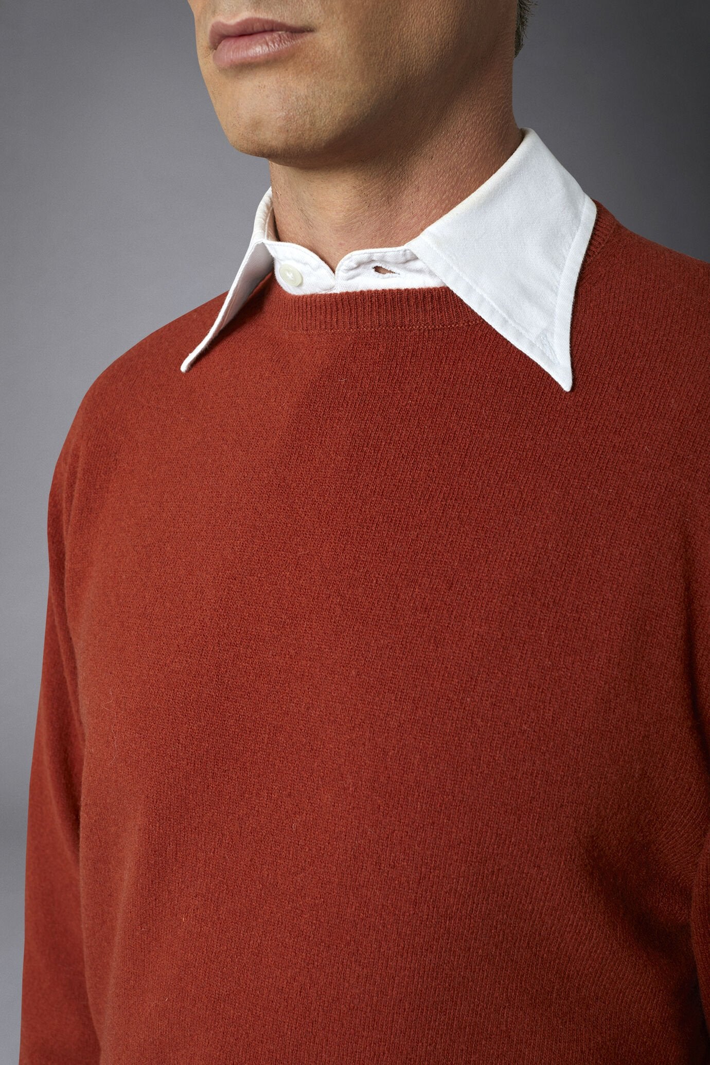 Men's crew neck wool blend lambswool regular fit sweater