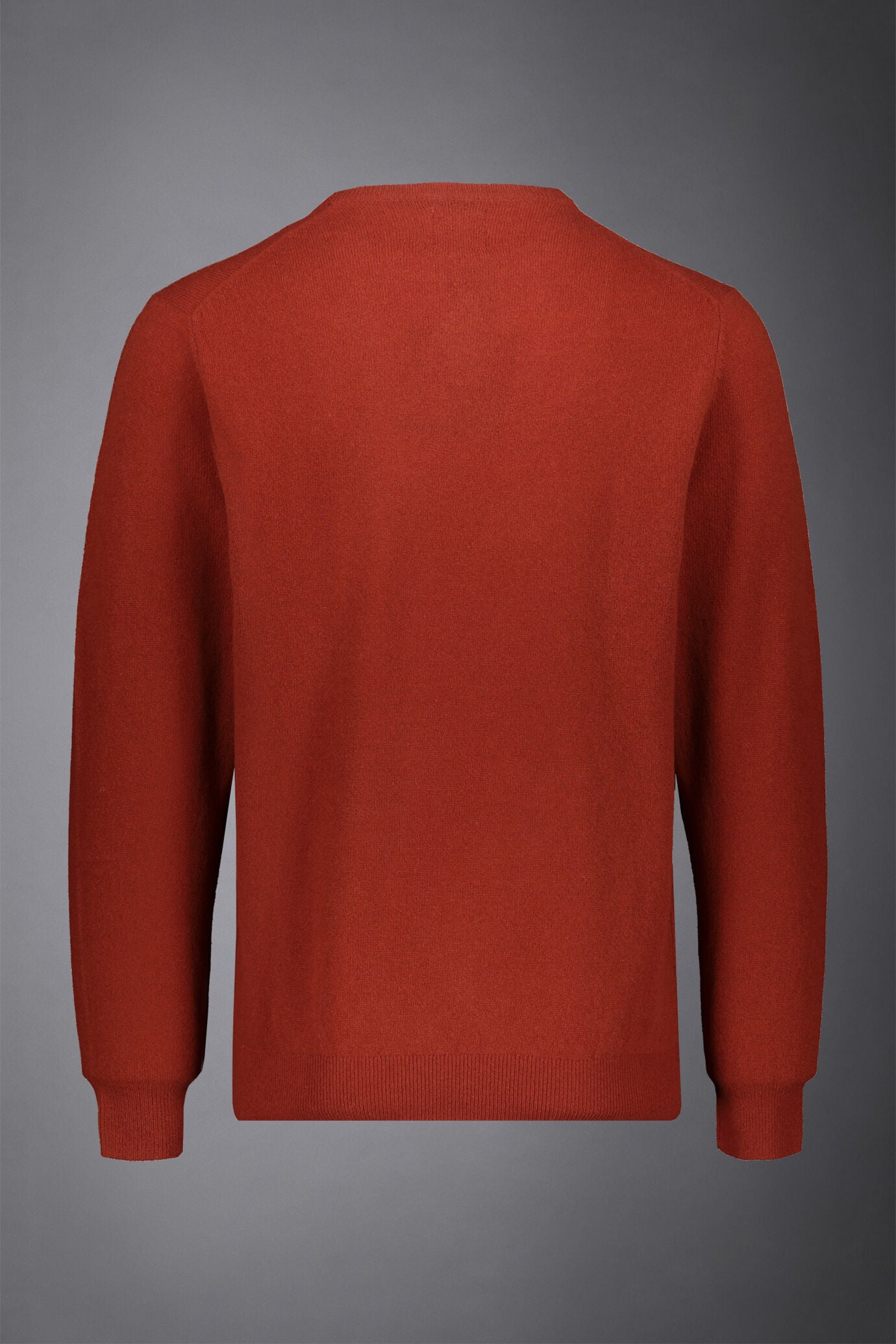 Men's crew neck wool blend lambswool regular fit sweater