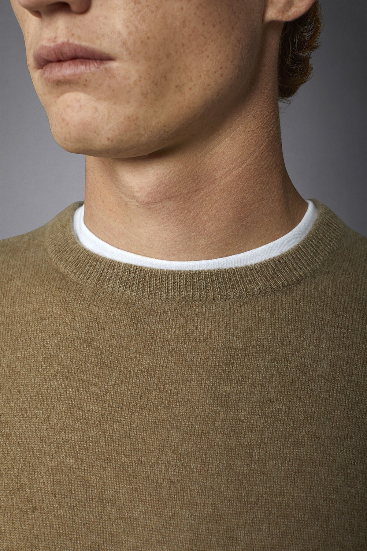 Men's 100% cashmere regular fit roundneck sweater