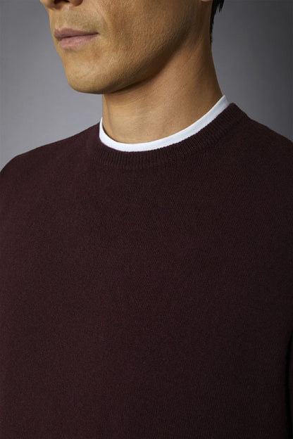 Men's 100% cashmere regular fit roundneck sweater