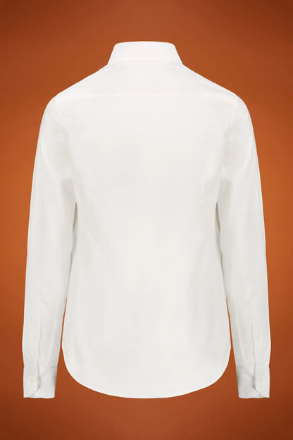 Men's shirt classic collar 100% cotton pinpoint fabric plain regualr fit