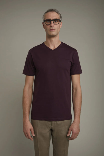 Men's 100% cotton v neck t-shirt in jersey regular fit