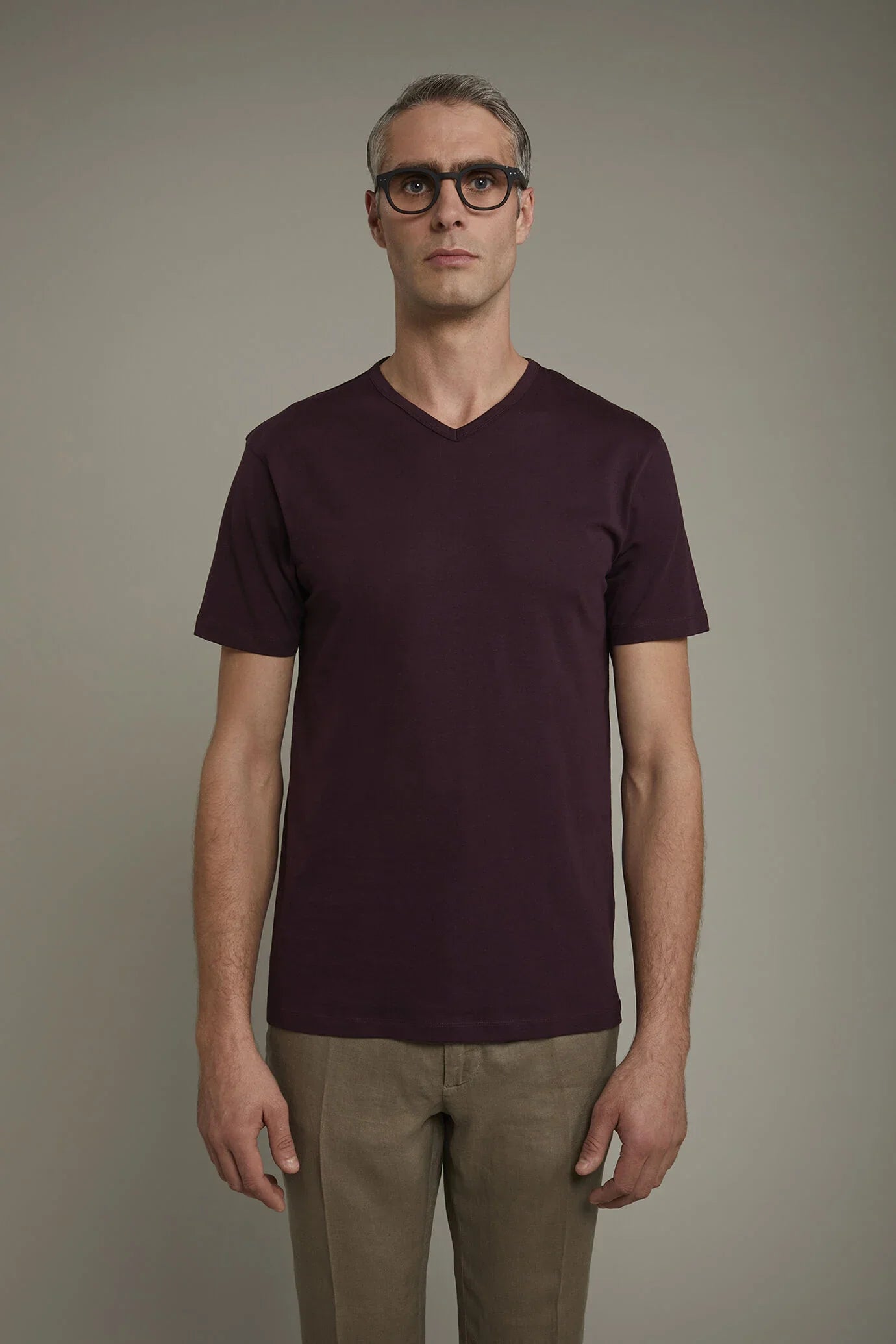 Men's 100% cotton v neck t-shirt in jersey regular fit