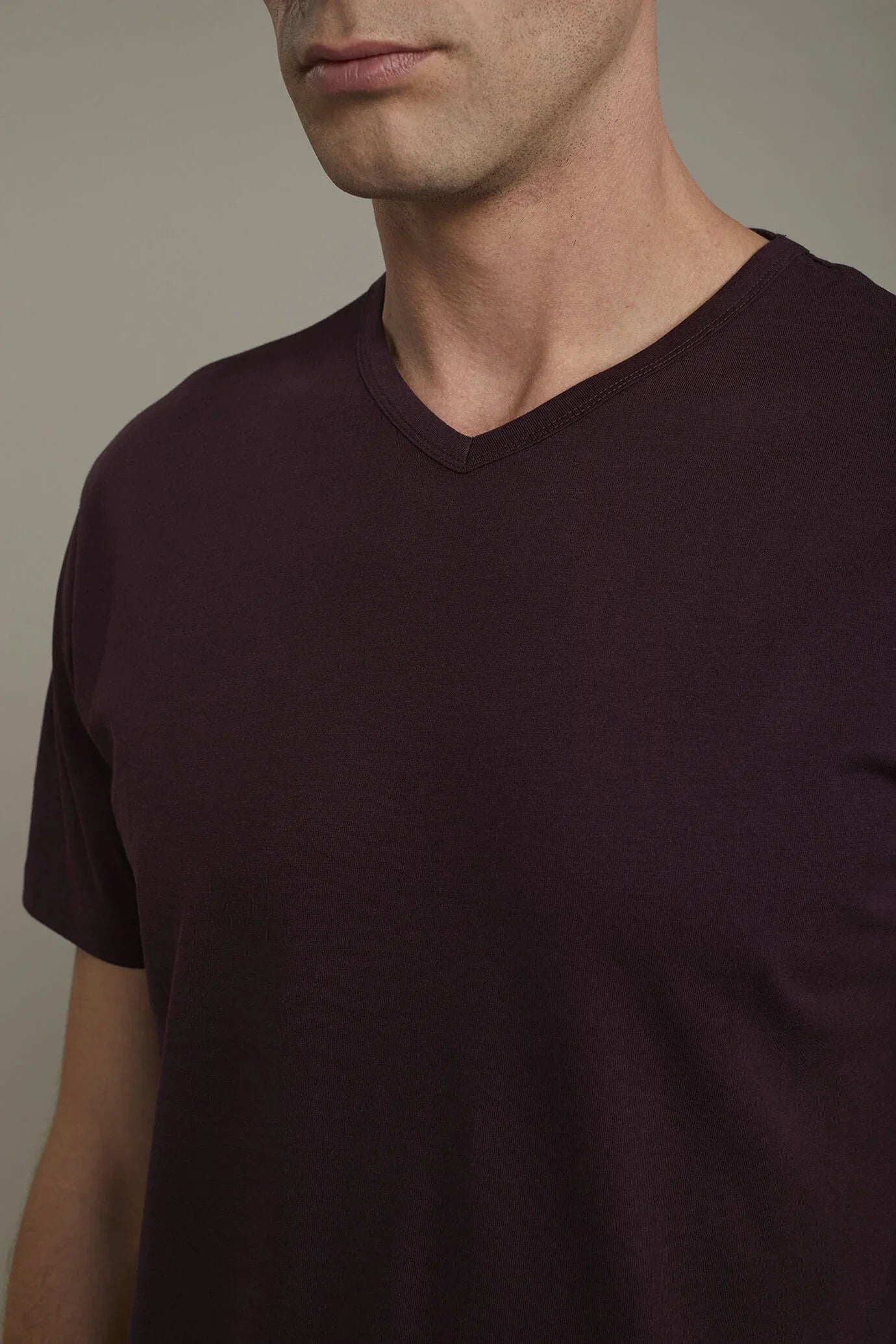 Men's 100% cotton v neck t-shirt in jersey regular fit