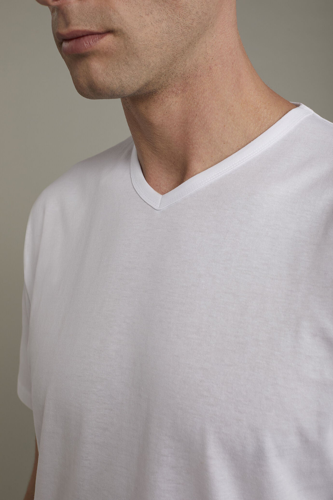 Men's 100% cotton v neck t-shirt in jersey regular fit