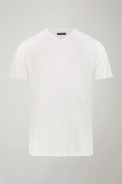 Men's 100% cotton v neck t-shirt in jersey regular fit