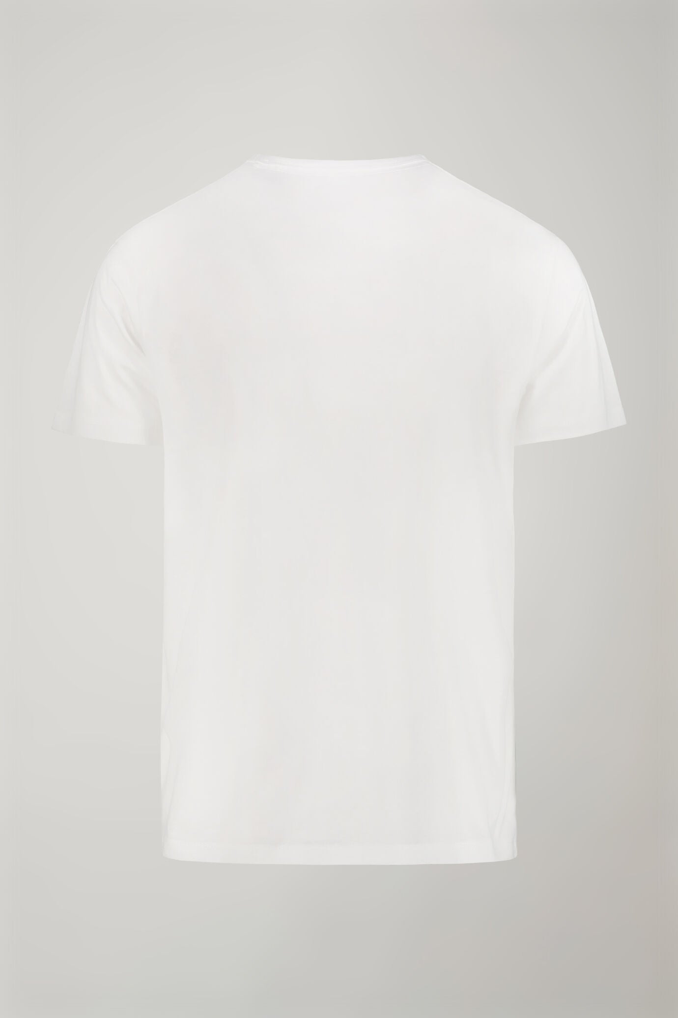 Men's 100% cotton v neck t-shirt in jersey regular fit