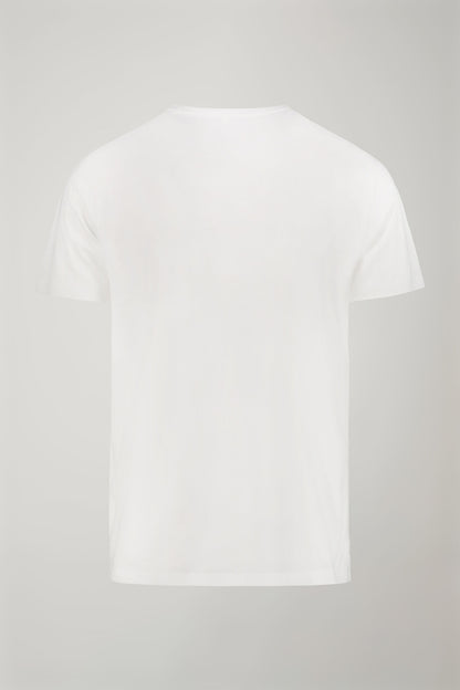 Men's 100% cotton v neck t-shirt in jersey regular fit
