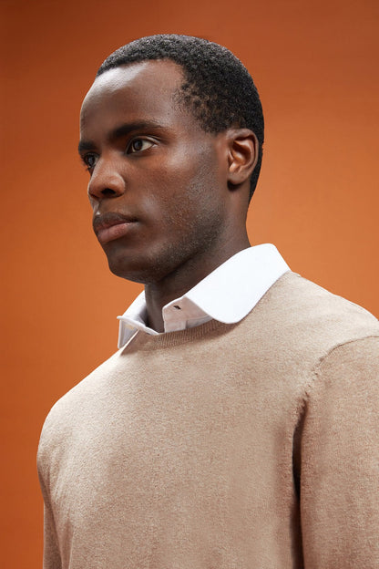 Men's regular fit crew neck jumper in wool and cotton