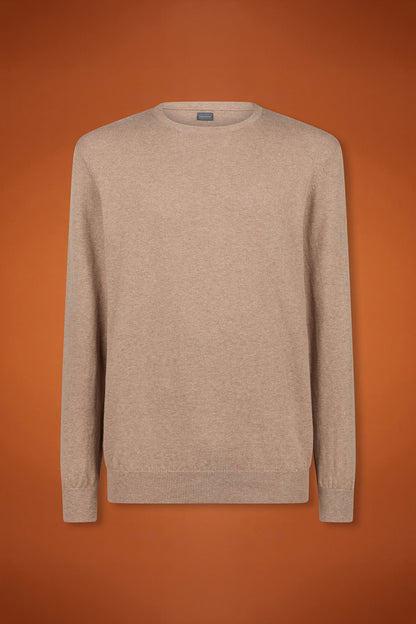 Men's regular fit crew neck jumper in wool and cotton