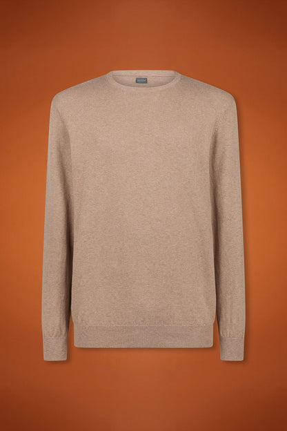 Men's regular fit crew neck jumper in wool and cotton