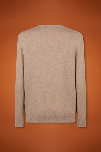 Men's regular fit crew neck jumper in wool and cotton