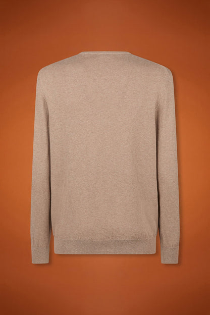 Men's regular fit crew neck jumper in wool and cotton