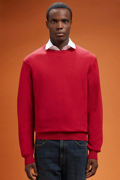 Men's regular fit crew neck jumper in wool and cotton