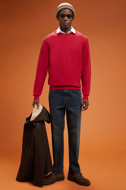 Men's regular fit crew neck jumper in wool and cotton