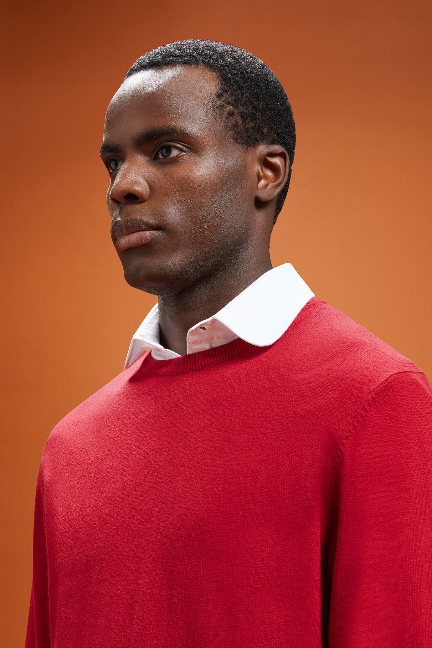 Men's regular fit crew neck jumper in wool and cotton