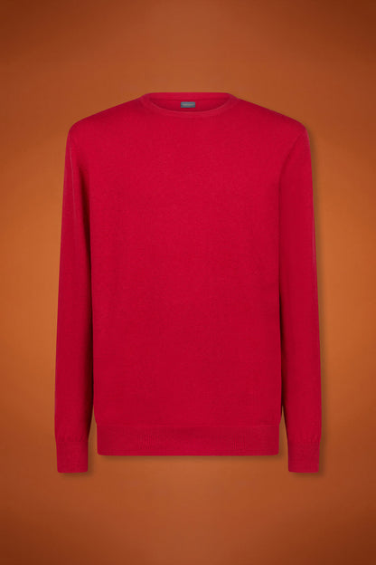 Men's regular fit crew neck jumper in wool and cotton