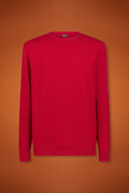 Men's regular fit crew neck jumper in wool and cotton