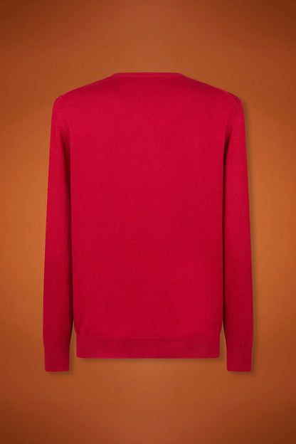 Men's regular fit crew neck jumper in wool and cotton