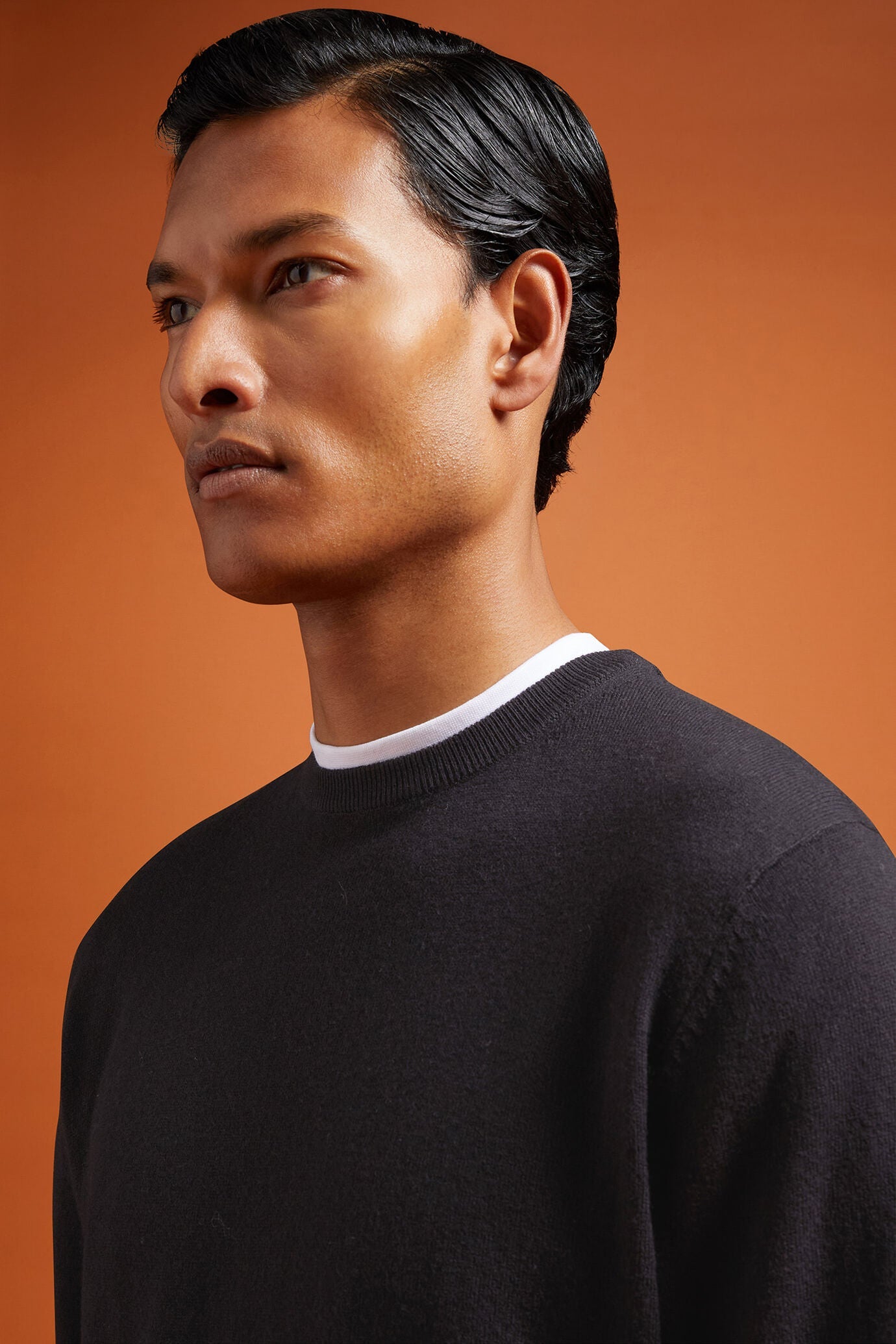 Men's regular fit crew neck jumper in wool and cotton