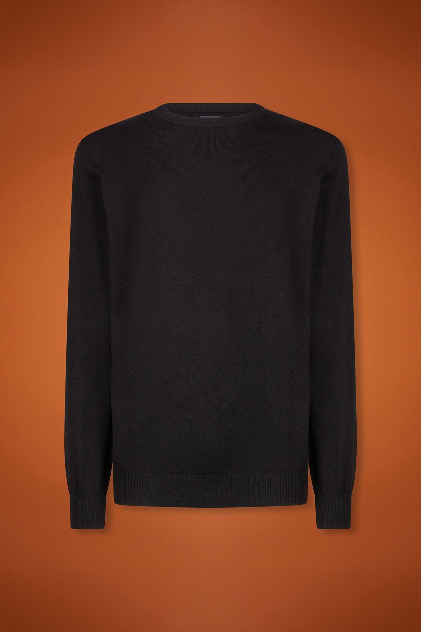 Men's regular fit crew neck jumper in wool and cotton