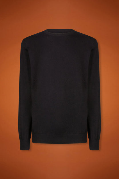 Men's regular fit crew neck jumper in wool and cotton