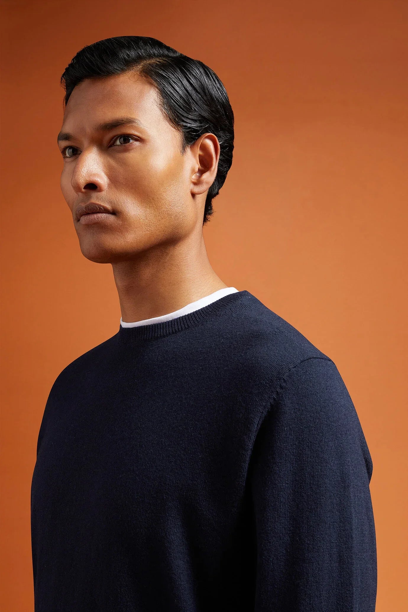 Men's regular fit crew neck jumper in wool and cotton