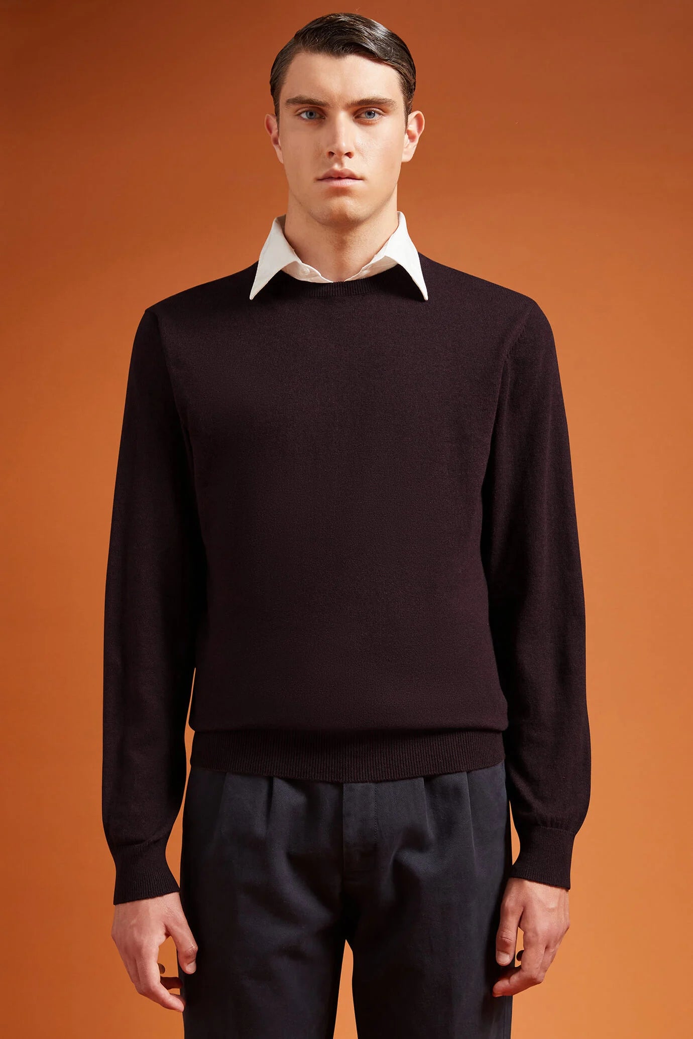 Men's regular fit crew neck jumper in wool and cotton