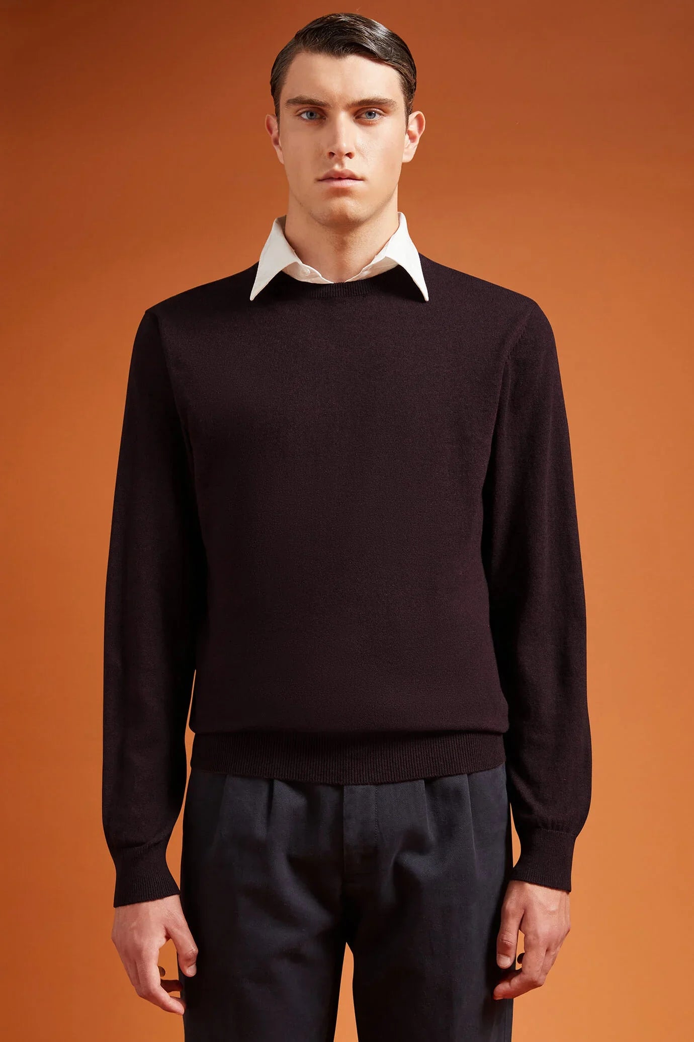 Men's regular fit crew neck jumper in wool and cotton