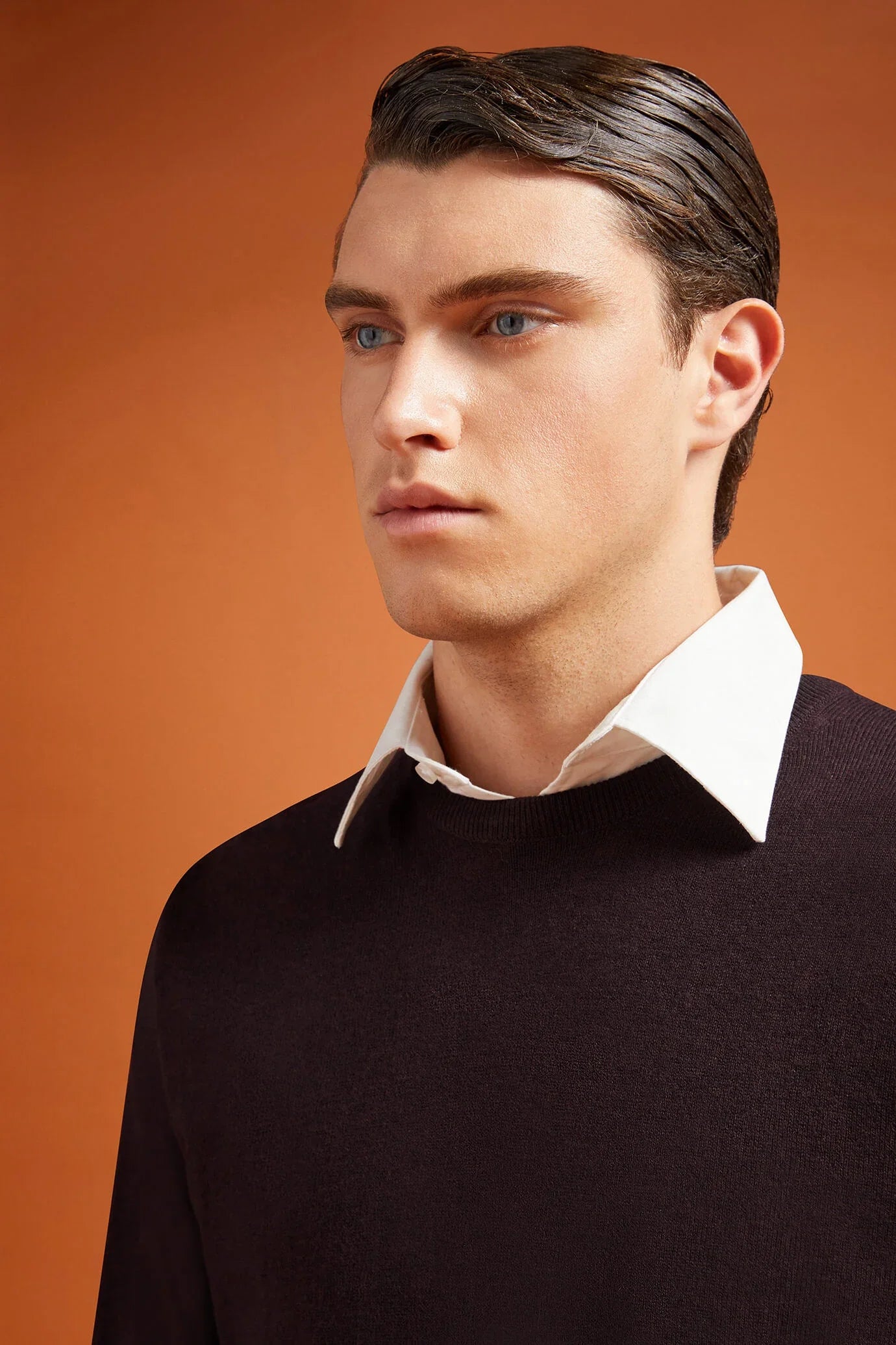 Men's regular fit crew neck jumper in wool and cotton