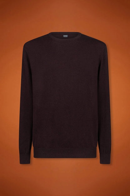 Men's regular fit crew neck jumper in wool and cotton