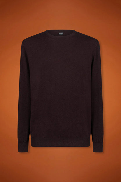 Men's regular fit crew neck jumper in wool and cotton