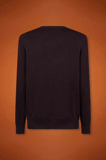 Men's regular fit crew neck jumper in wool and cotton