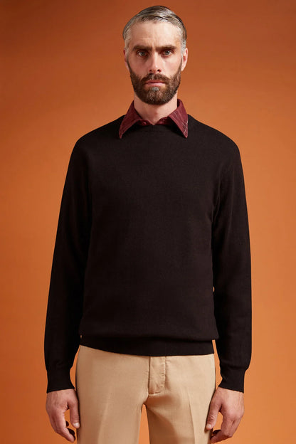 Men's regular fit crew neck jumper in wool and cotton