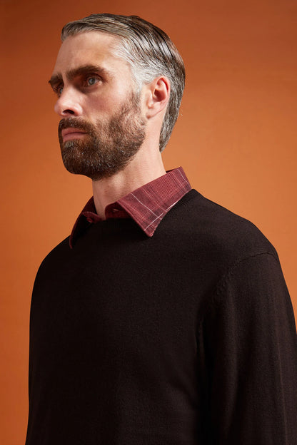 Men's regular fit crew neck jumper in wool and cotton